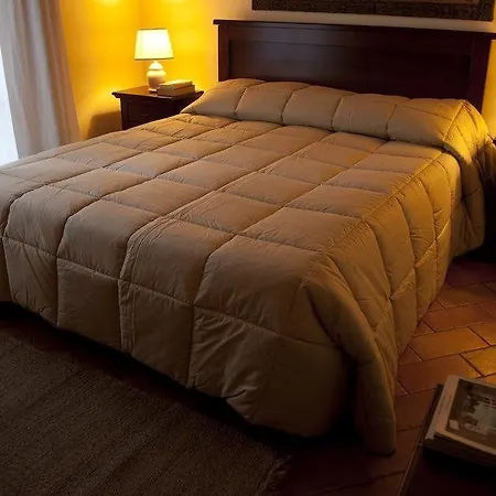 Oda ve Kahvaltı Monte Palace 3*